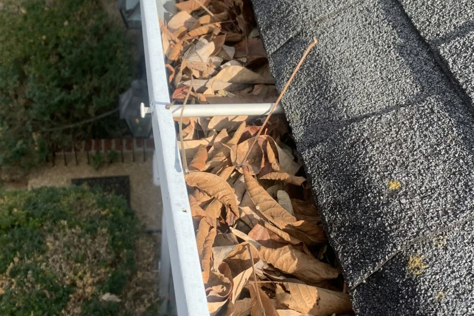 Gutter Cleaning Beebe AR